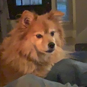 Meet your Posher, Brandy